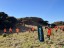 sustainability thorntonkanuka