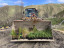 sustainability aurakiplanting 4